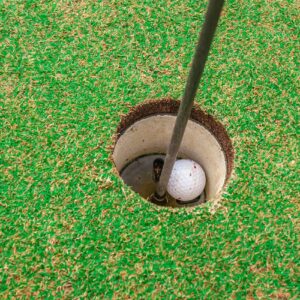 golfing, golf, ball-219994.jpg