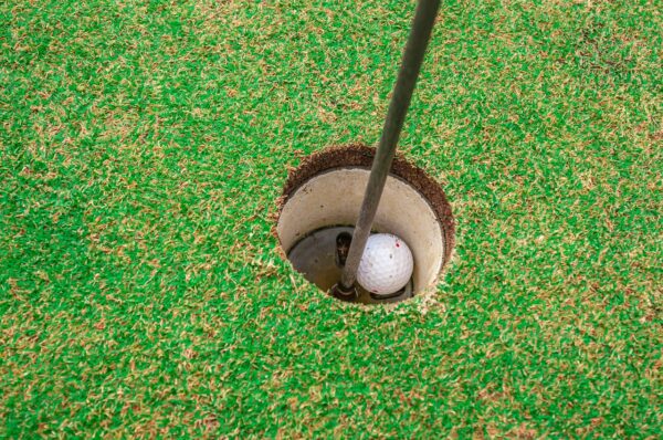 golfing, golf, ball-219994.jpg